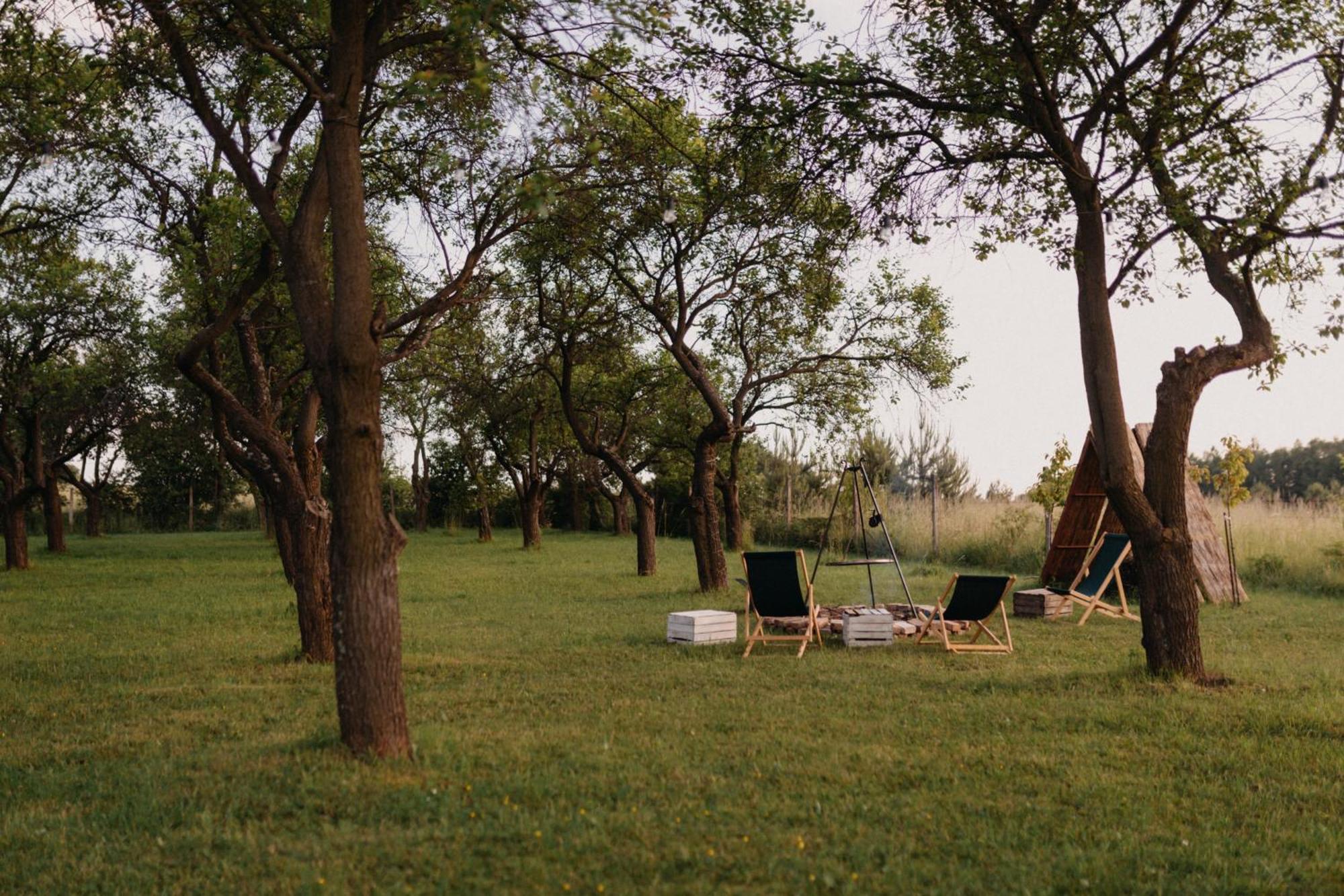Holiday home Sliwkowy Sad-plum Orchard